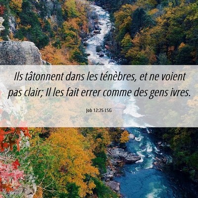 Picture 06 - Job 12:25 LSG - Ils tâtonnent dans les ténèbres, et ne voient - Bible Verse Picture