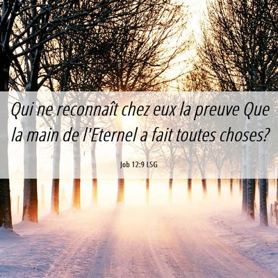 Picture 06 - Job 12:9 LSG - Qui ne reconnaît chez eux la preuve Que la main - Bible Verse Picture