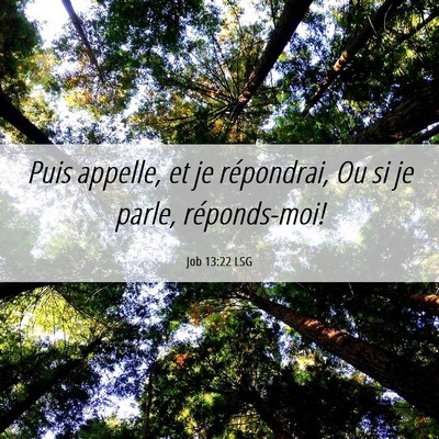Picture 06 - Job 13:22 LSG - Puis appelle, et je répondrai, Ou si je parle, - Bible Verse Picture