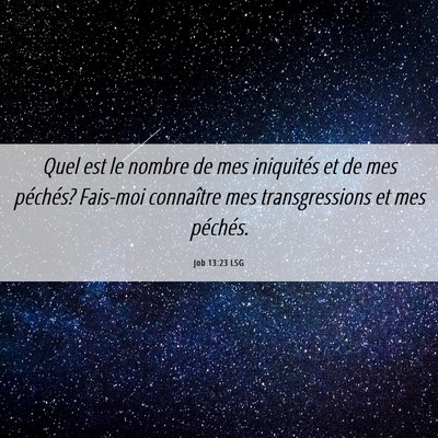 Picture 06 - Job 13:23 LSG - Quel est le nombre de mes iniquités et de mes - Bible Verse Picture