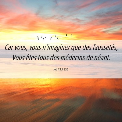 Picture 06 - Job 13:4 LSG - Car vous, vous n'imaginez que des faussetés, - Bible Verse Picture
