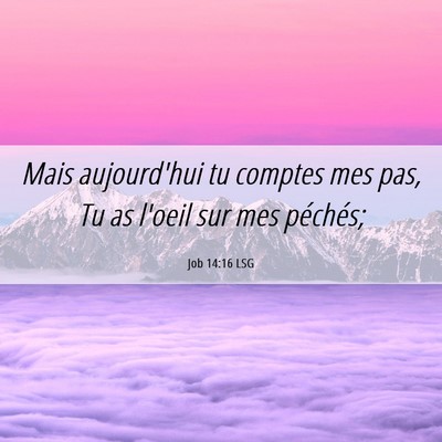 Picture 06 - Job 14:16 LSG - Mais aujourd'hui tu comptes mes pas, Tu as l'oeil - Bible Verse Picture