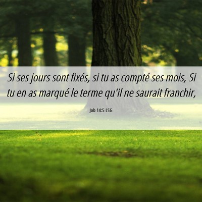 Picture 06 - Job 14:5 LSG - Si ses jours sont fixés, si tu as compté ses - Bible Verse Picture