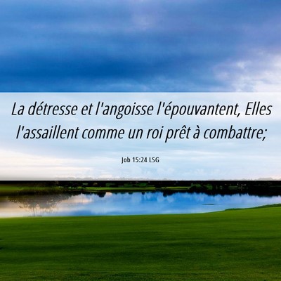 Picture 06 - Job 15:24 LSG - La détresse et l'angoisse l'épouvantent, Elles - Bible Verse Picture