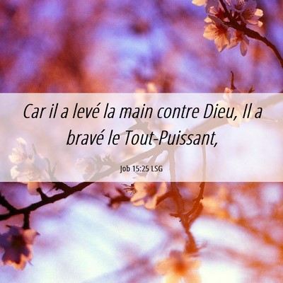 Picture 06 - Job 15:25 LSG - Car il a levé la main contre Dieu, Il a bravé - Bible Verse Picture