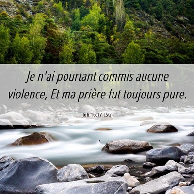 Picture 06 - Job 16:17 LSG - Je n'ai pourtant commis aucune violence, Et ma - Bible Verse Picture