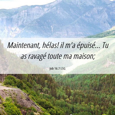 Picture 06 - Job 16:7 LSG - Maintenant, hélas! il m'a épuisé... Tu as - Bible Verse Picture