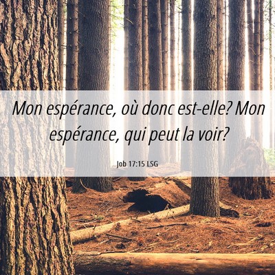 Picture 06 - Job 17:15 LSG - Mon espérance, où donc est-elle? Mon - Bible Verse Picture