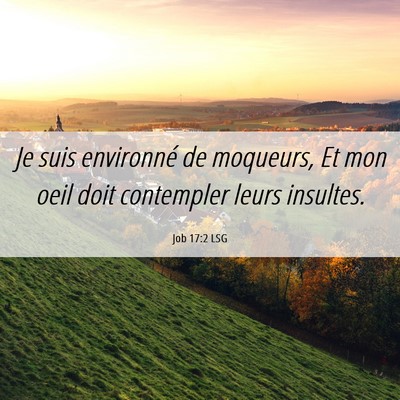 Picture 06 - Job 17:2 LSG - Je suis environné de moqueurs, Et mon oeil doit - Bible Verse Picture