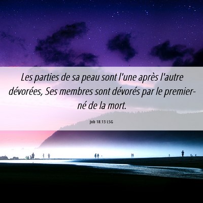 Picture 06 - Job 18:13 LSG - Les parties de sa peau sont l'une après l'autre - Bible Verse Picture