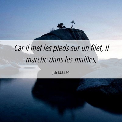 Picture 06 - Job 18:8 LSG - Car il met les pieds sur un filet, Il marche dans - Bible Verse Picture