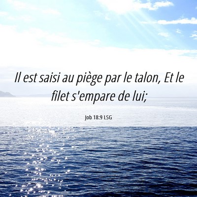 Picture 06 - Job 18:9 LSG - Il est saisi au piège par le talon, Et le filet - Bible Verse Picture