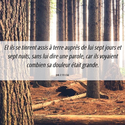 Picture 06 - Job 2:13 LSG - Et ils se tinrent assis à terre auprès de lui - Bible Verse Picture