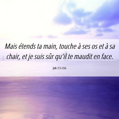Picture 06 - Job 2:5 LSG - Mais étends ta main, touche à ses os et à sa - Bible Verse Picture