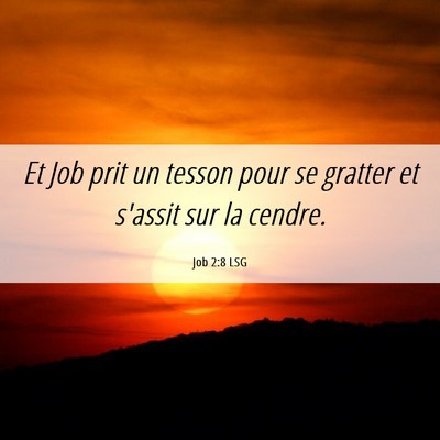 Picture 06 - Job 2:8 LSG - Et Job prit un tesson pour se gratter et s'assit - Bible Verse Picture