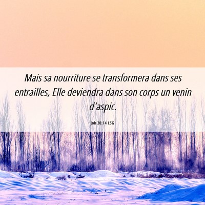 Picture 06 - Job 20:14 LSG - Mais sa nourriture se transformera dans ses - Bible Verse Picture