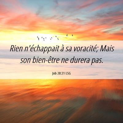 Picture 06 - Job 20:21 LSG - Rien n'échappait à sa voracité; Mais son - Bible Verse Picture