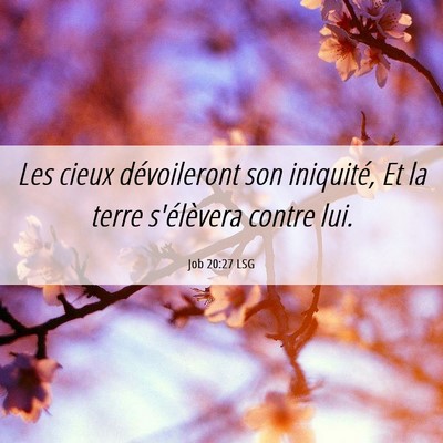 Picture 06 - Job 20:27 LSG - Les cieux dévoileront son iniquité, Et la terre - Bible Verse Picture