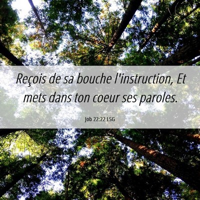 Picture 06 - Job 22:22 LSG - Reçois de sa bouche l'instruction, Et mets dans - Bible Verse Picture