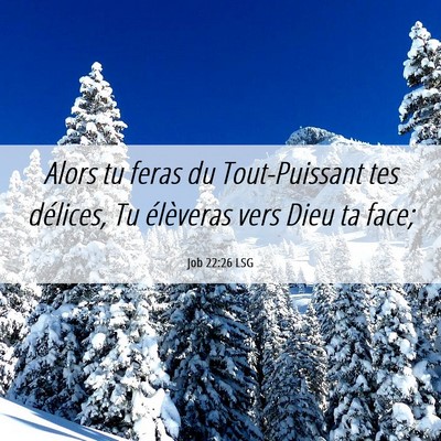 Picture 06 - Job 22:26 LSG - Alors tu feras du Tout-Puissant tes délices, Tu - Bible Verse Picture