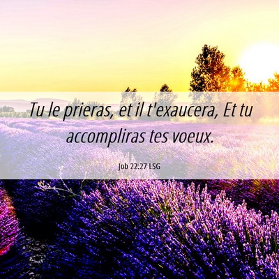 Picture 06 - Job 22:27 LSG - Tu le prieras, et il t'exaucera, Et tu - Bible Verse Picture