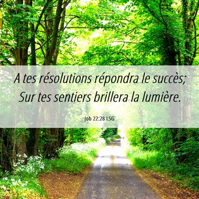 Picture 06 - Job 22:28 LSG - A tes résolutions répondra le succès; Sur tes - Bible Verse Picture