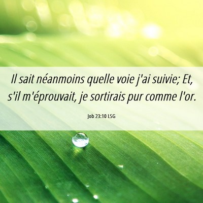 Picture 06 - Job 23:10 LSG - Il sait néanmoins quelle voie j'ai suivie; Et, - Bible Verse Picture
