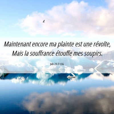 Picture 06 - Job 23:2 LSG - Maintenant encore ma plainte est une révolte, - Bible Verse Picture
