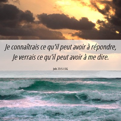 Picture 06 - Job 23:5 LSG - Je connaîtrais ce qu'il peut avoir à répondre, - Bible Verse Picture