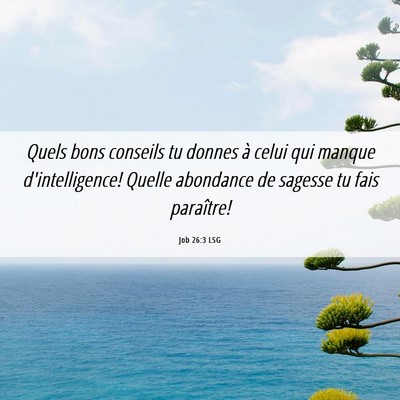 Picture 06 - Job 26:3 LSG - Quels bons conseils tu donnes à celui qui manque - Bible Verse Picture