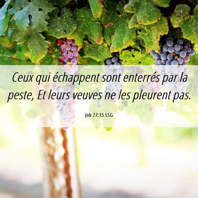 Picture 06 - Job 27:15 LSG - Ceux qui échappent sont enterrés par la peste, - Bible Verse Picture