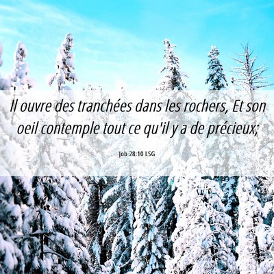 Picture 06 - Job 28:10 LSG - Il ouvre des tranchées dans les rochers, Et son - Bible Verse Picture