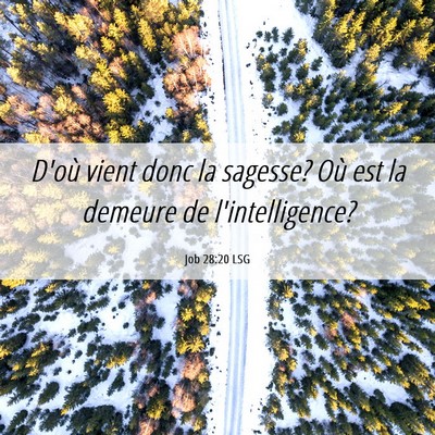 Picture 06 - Job 28:20 LSG - D'où vient donc la sagesse? Où est la demeure - Bible Verse Picture