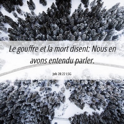 Picture 06 - Job 28:22 LSG - Le gouffre et la mort disent: Nous en avons - Bible Verse Picture