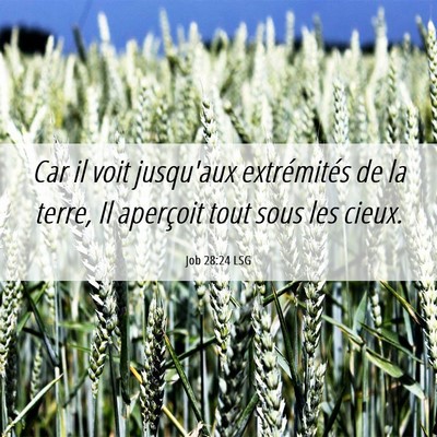 Picture 06 - Job 28:24 LSG - Car il voit jusqu'aux extrémités de la terre, - Bible Verse Picture