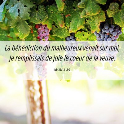 Picture 06 - Job 29:13 LSG - La bénédiction du malheureux venait sur moi; Je - Bible Verse Picture