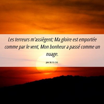 Picture 06 - Job 30:15 LSG - Les terreurs m'assiègent; Ma gloire est - Bible Verse Picture