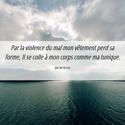 Picture 06 - Job 30:18 LSG - Par la violence du mal mon vêtement perd sa - Bible Verse Picture