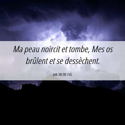 Picture 06 - Job 30:30 LSG - Ma peau noircit et tombe, Mes os brûlent et se - Bible Verse Picture