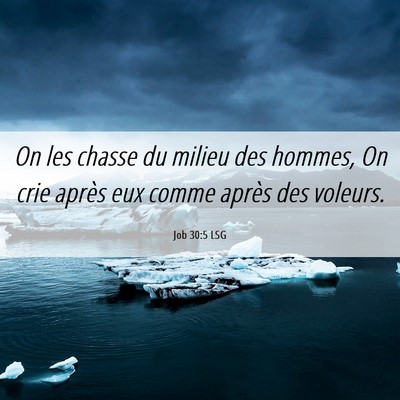 Picture 06 - Job 30:5 LSG - On les chasse du milieu des hommes, On crie - Bible Verse Picture