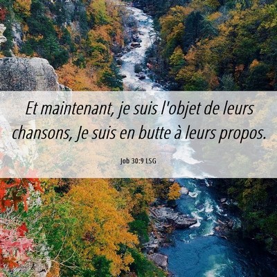 Picture 06 - Job 30:9 LSG - Et maintenant, je suis l'objet de leurs chansons, - Bible Verse Picture