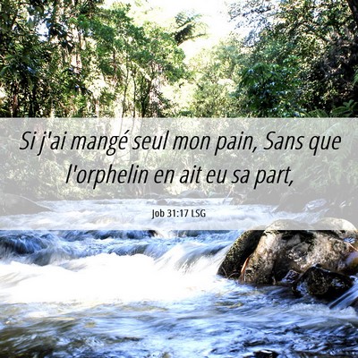 Picture 06 - Job 31:17 LSG - Si j'ai mangé seul mon pain, Sans que l'orphelin - Bible Verse Picture
