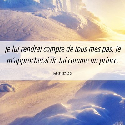Picture 06 - Job 31:37 LSG - Je lui rendrai compte de tous mes pas, Je - Bible Verse Picture