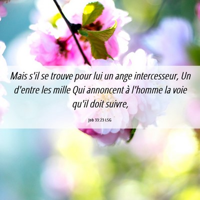 Picture 06 - Job 33:23 LSG - Mais s'il se trouve pour lui un ange - Bible Verse Picture