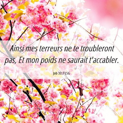 Picture 06 - Job 33:7 LSG - Ainsi mes terreurs ne te troubleront pas, Et mon - Bible Verse Picture