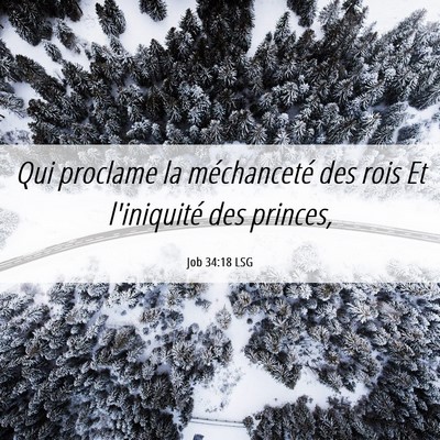 Picture 06 - Job 34:18 LSG - Qui proclame la méchanceté des rois Et - Bible Verse Picture