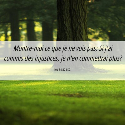 Picture 06 - Job 34:32 LSG - Montre-moi ce que je ne vois pas; Si j'ai commis - Bible Verse Picture