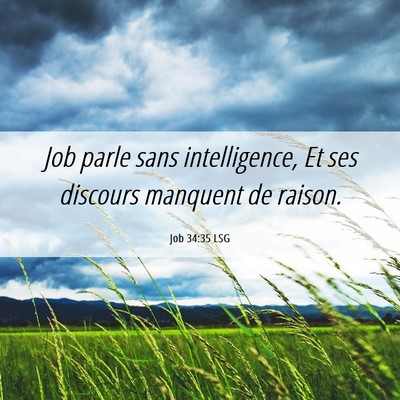 Picture 06 - Job 34:35 LSG - Job parle sans intelligence, Et ses discours - Bible Verse Picture
