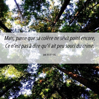 Picture 06 - Job 35:15 LSG - Mais, parce que sa colère ne sévit point - Bible Verse Picture