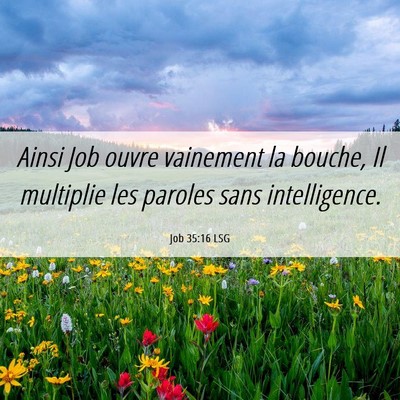 Picture 06 - Job 35:16 LSG - Ainsi Job ouvre vainement la bouche, Il multiplie - Bible Verse Picture